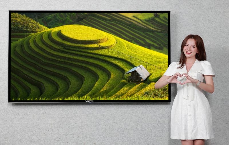 WINDTEK - Địa chỉ mang đến dòng tivi chính hãng