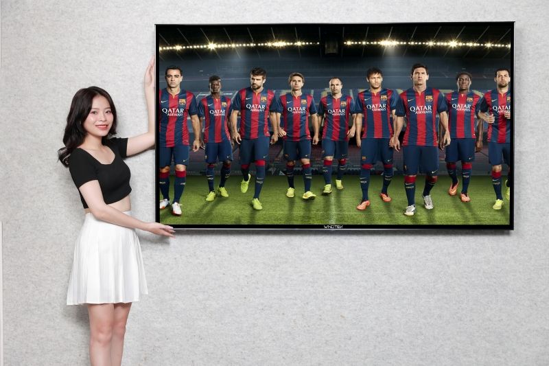 WINDTEK - Chuyên cung cấp tivi chính hãng, giá tốt